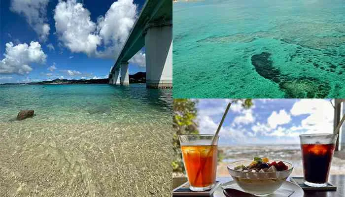 沖縄を満喫！｜川野芽唯選手のXより引用